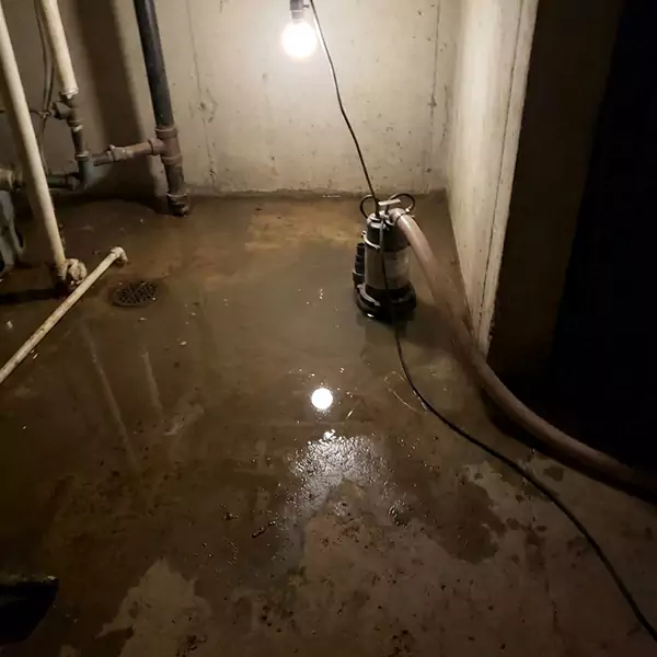 Basement Flood Clean Up in Santa Cruz, CA