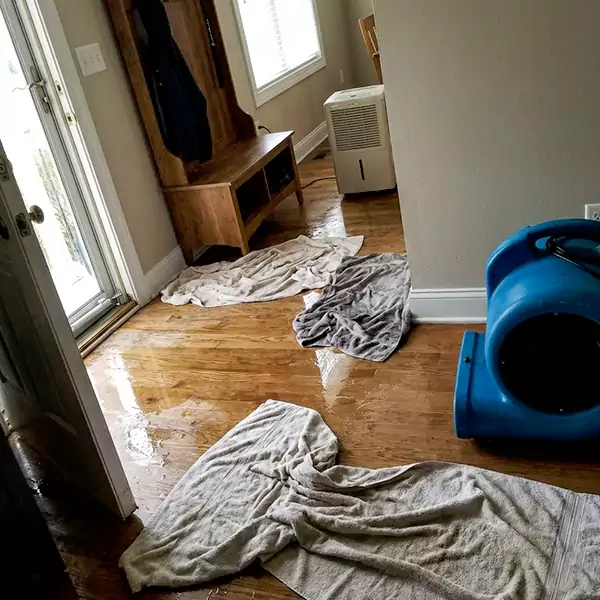 Water Mitigation in Santa Cruz, CA