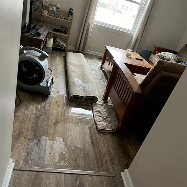 Water Restoration in Santa Cruz, CA