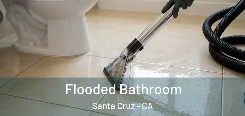  Flooded Bathroom Santa Cruz - CA