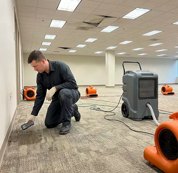 Why Businesses Choose Santa Cruz Water Damage Pros for Commercial Water Damage in Santa Cruz, CA?