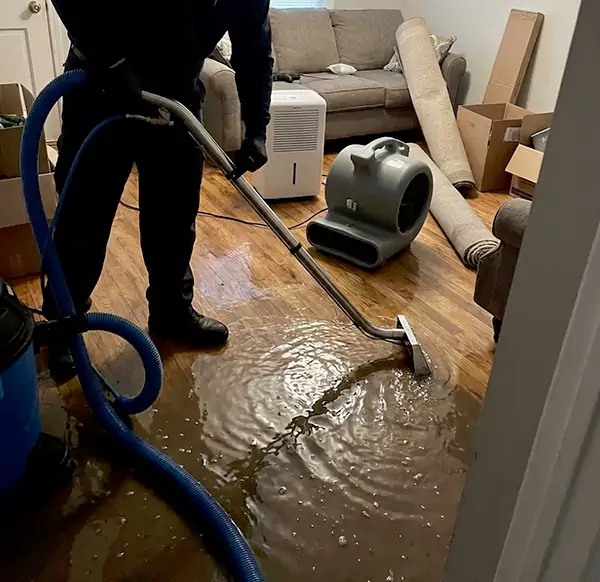 Why Homeowners & Businesses Choose Santa Cruz Water Damage Pros for Flood Cleanup in Santa Cruz, CA?