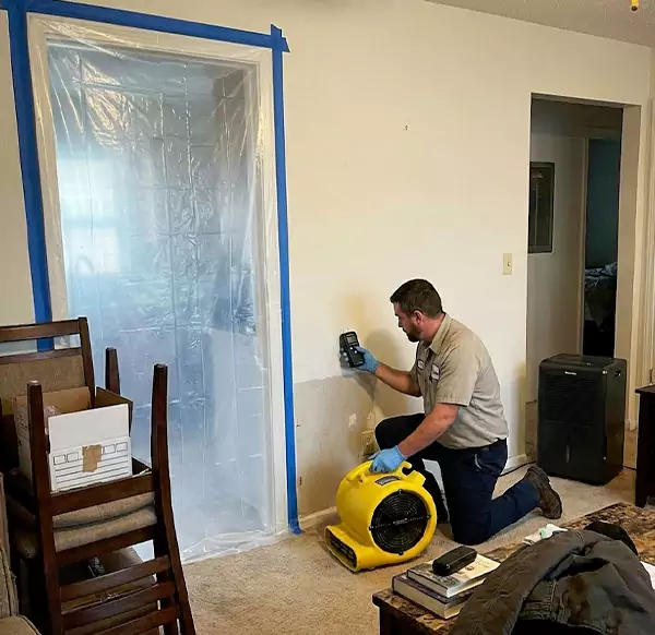 Why Homeowners & Businesses Choose Santa Cruz Water Damage Pros for Water Remediation in Santa Cruz, CA?